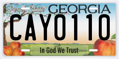 GA license plate CAY0110