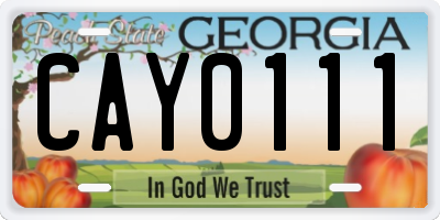 GA license plate CAY0111