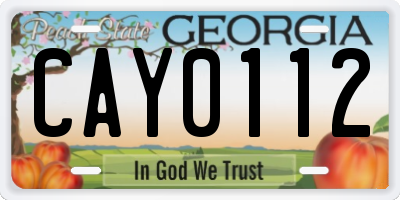 GA license plate CAY0112