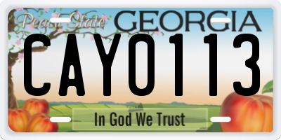 GA license plate CAY0113