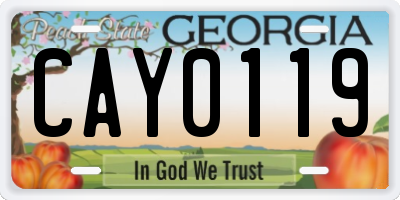 GA license plate CAY0119