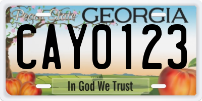 GA license plate CAY0123