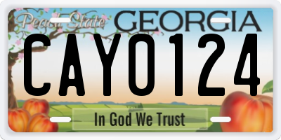 GA license plate CAY0124