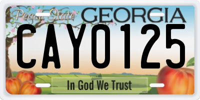GA license plate CAY0125