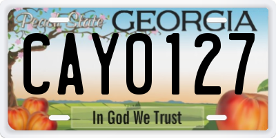 GA license plate CAY0127