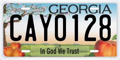 GA license plate CAY0128