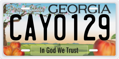 GA license plate CAY0129