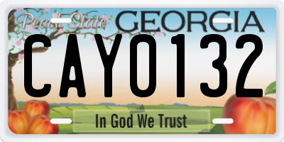 GA license plate CAY0132