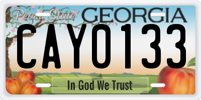 GA license plate CAY0133