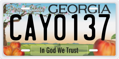 GA license plate CAY0137