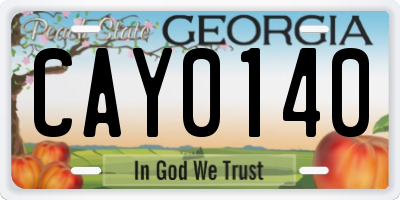 GA license plate CAY0140
