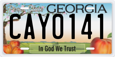 GA license plate CAY0141