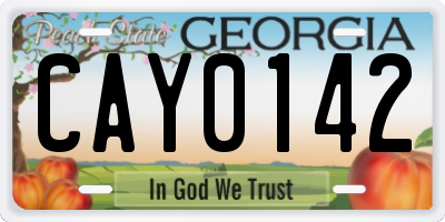 GA license plate CAY0142