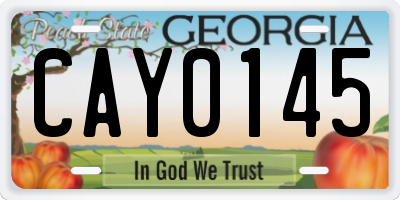 GA license plate CAY0145