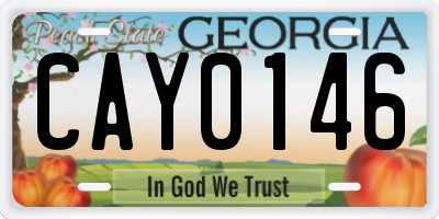 GA license plate CAY0146