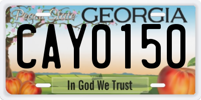 GA license plate CAY0150