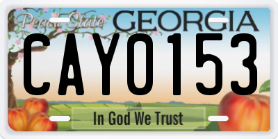 GA license plate CAY0153