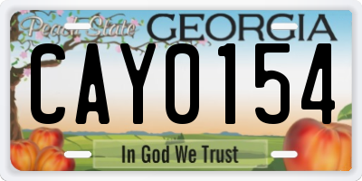 GA license plate CAY0154