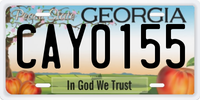 GA license plate CAY0155