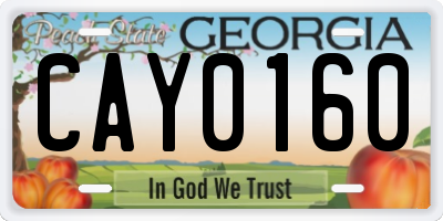 GA license plate CAY0160