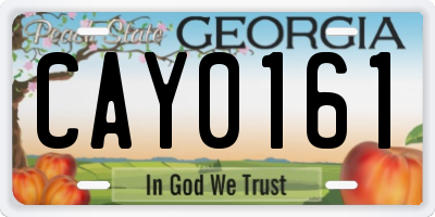 GA license plate CAY0161
