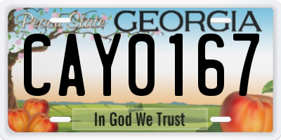 GA license plate CAY0167