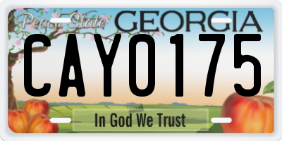 GA license plate CAY0175