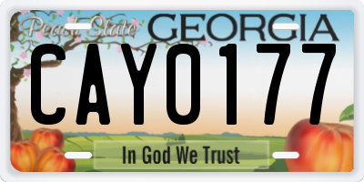 GA license plate CAY0177