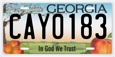 GA license plate CAY0183