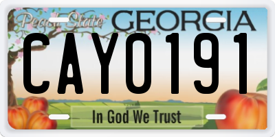 GA license plate CAY0191