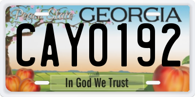 GA license plate CAY0192