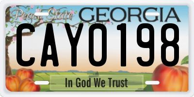 GA license plate CAY0198
