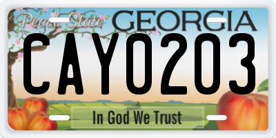 GA license plate CAY0203