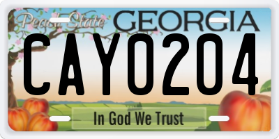 GA license plate CAY0204