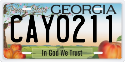 GA license plate CAY0211