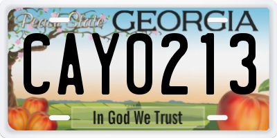 GA license plate CAY0213