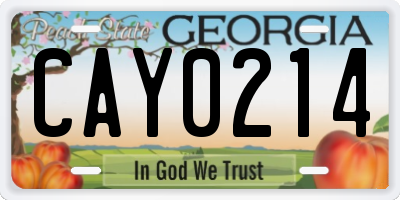 GA license plate CAY0214