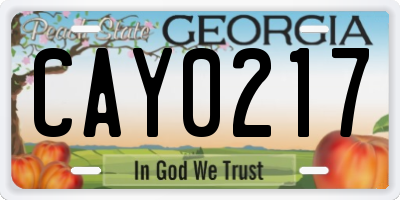 GA license plate CAY0217