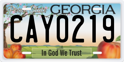 GA license plate CAY0219