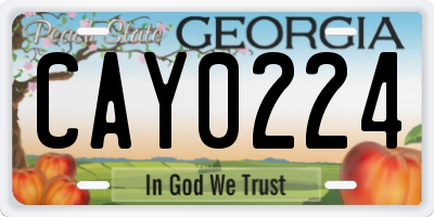 GA license plate CAY0224