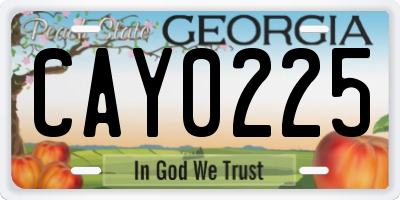 GA license plate CAY0225