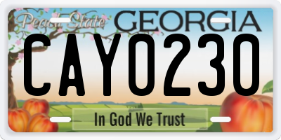 GA license plate CAY0230