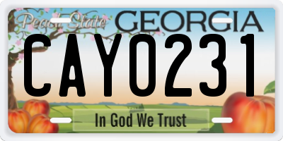 GA license plate CAY0231