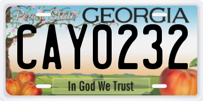 GA license plate CAY0232