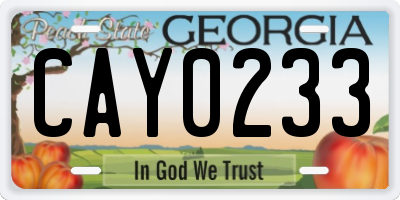 GA license plate CAY0233