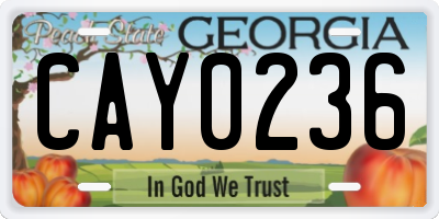 GA license plate CAY0236