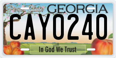 GA license plate CAY0240