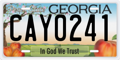 GA license plate CAY0241