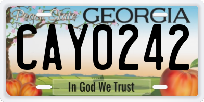 GA license plate CAY0242