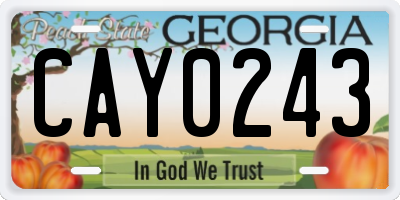 GA license plate CAY0243